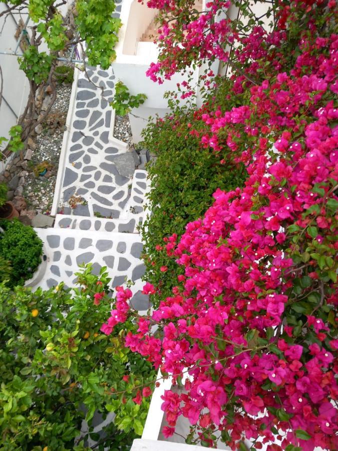 Studio In Garden Poros Town Eksteriør bilde