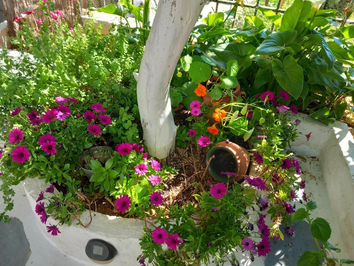 Studio In Garden Poros Town Eksteriør bilde